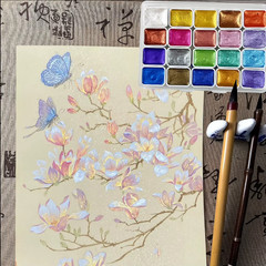 Color Pearl Watercolor Pigment Set for Traditional Chinese Painting