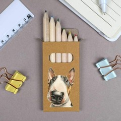 6 x ‘Bull Terrier Portrait’ Short Colour Pencils (PE00086242)