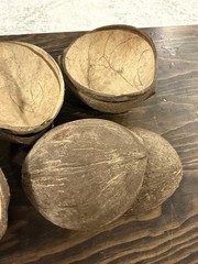 Natural Coconut Shell Halves set of 10