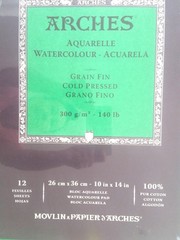 X10 (NEW/SEALED) ARCHES 10 X 14 COLD PRESSED Watercolor Paper 140 LB (12 Sheets)