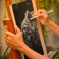 KALOUR White Charcoal Pencils 6PCS Drawing Sketch Set for Shading Blending