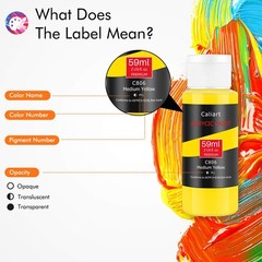 Caliart 24 Colors Acrylic Paint Set with 12 2 Fl Oz (Pack of 24), Regular
