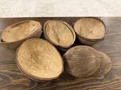 Natural Coconut Shell Halves set of 10