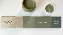 Lichen 37ml