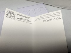 Winsor & Newton Professional Watercolour Travel Tin Set 12 x 5ml Tubes Metal Box