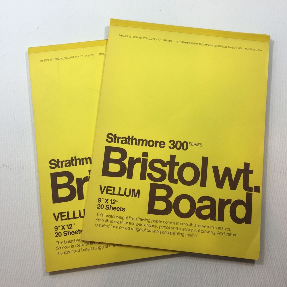 Strathmore 300 Series Bristol Wt. Board Vellum 9″x12″ 20 Sheets Drawing Art Pain