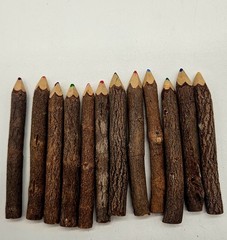 Bark Tree Color Pencils Handmade Arts And Crafts Lot Of 12 Multicolor Unique