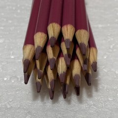 (20) Crayola Colored Pencils (brick red) BULK