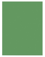 Construction Paper 100 Sheets 9 X 12 Holiday,for art classes, Green