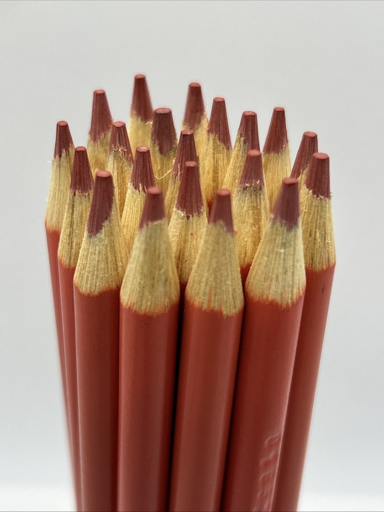 (20) Crayola Colored Pencils (coral orange) BULK