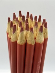 (20) Crayola Colored Pencils (coral orange) BULK