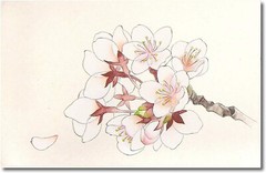 Japanese painting color ink set No.3 24 colors