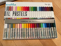 CRAFTINT OIL PASTELS Small Size, 24 COLORS~SET #510, VINTAGE Pre Owned MINT