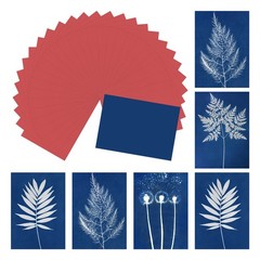 Cyanotype Paper,24 Sheet Sun Print Paper Red Crafts, 2.9×4.1″
