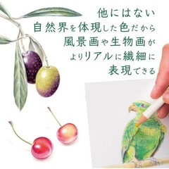 Tombow IROJITEN 90 Colored Pencils Volume 1, 2, 3 Set Color Dictionary
