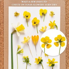 20 Sheets Flower Press Blotting Paper A4 Size Highly Absorbent for Herbarium DIY