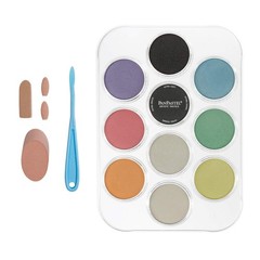 PanPastel Artist Pastels Pearlescent & Mediums Set 10 Color Professional Artist