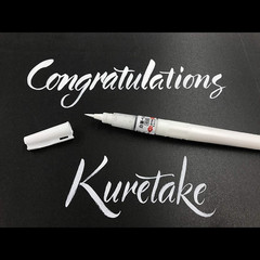 Kuretake Zig Brush Pen White & Cartridge Set, for Illust, Manga, Artworks, for P