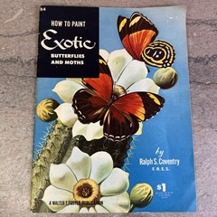 Vtg How to Paint Exotic Butterflies Mag. Walter Foster Art Paint Butterfly Pics