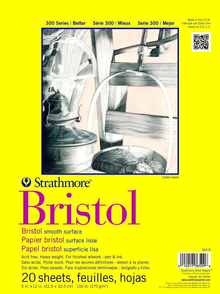 300 Series Bristol Paper Pad, Smooth, Tape Bound, 9X12 Inches, 20 Sheets (100Lb/