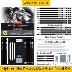 PANDAFLY Drawing Pencil Set 22pcs Graphite Charcoal Pro