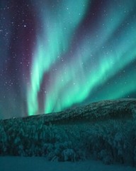 USA – DIY Paint by Number Kit Acrylic Painting Home Decor – Northern Lights