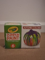 Crayola Pumpkin Paint Great on Multiple Surfaces (AUTUMN Colors)