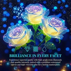 5D Rose Diamond Art Kits for Adults Beginners, Full Drill Round Colorful