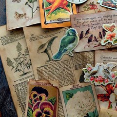 CraftBloom 45Pcs Coffee Dyed Botanical Scrapbook Paper, Vintage Multicolor