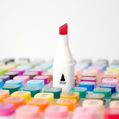 Hopesky Alcohol Markers 168 Colors, Dual Tip Art Markers Set with Fine & Chis…