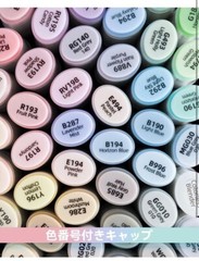Ohuhu Marker Pen 48 Pastel Soft Colors Bold Chisel & Fine Tip Illustration Japan
