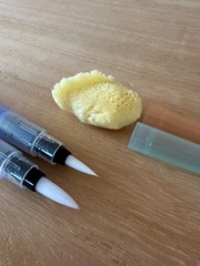 HOLBEIN Water Brush Pen Twin Set Medium Large Round Brush w/Sponge Japan