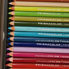 2009 Prismacolor Premier Colored Pencils Soft Core 48 Count *2 Missing*