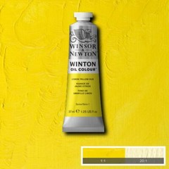 Winsor Newton Winton Oil Paint Colours 37ml