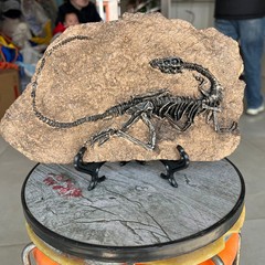 TOP! simulated Jurassic Cretaceous dinosaur skeletal fossil specimens 2.1LB