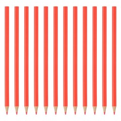 12Pcs Red Colored Pencils Set for Artists Art Painting