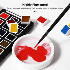 Paul Rubens 24 Colors Vibrant Solid Watercolor Academy Grade High Quality Paint