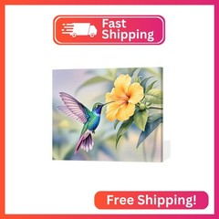 ACANDYL DIY Paint by Numbers Kit for Adults Paint by Numbers Beginner Hummingbir