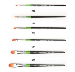 HWAHONG Artist Design Paint Brush Filbert Flat Brush 982 1Set (5ea Brushes)