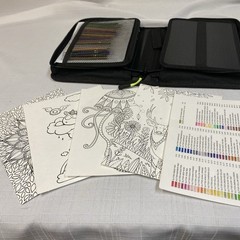 TANMIT Glitter Gel Pens, 80 Pack With Refills & Case for Adults Coloring