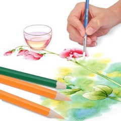 ARZASGO Watercolor Pencils Set, 48 Multi Colors Artist Colored Pencils for Ad…