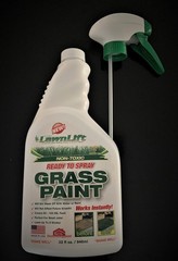 Green Grass Paint for Instant Lawn Makeover