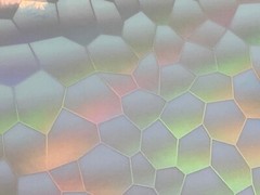 Blue Turtle Holographic Vinyl, Mystique on Cubes Special Effects
