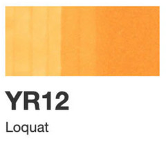 Copic Sketch Markers | Lightly Used | Tested for Quality | Color Group Y & YR