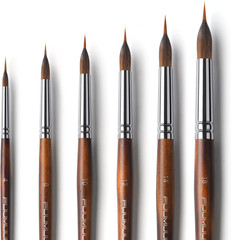 Watercolor Brushes Professional, 6Pcs Extended Needle Point Brushes Synthetic E