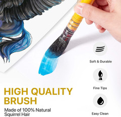 Professional Quill Brush for Watercolor Painting – Real Squirrel Hair Blend S…