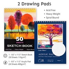 175 Piece Deluxe Art Set with 2 Drawing Pads, Acrylic Paints, Assorted Colors