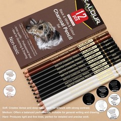 KALOUR Pro Colored Charcoal Drawing Set,12 Pieces Pastel Chalk Pencils for Sk…