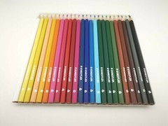 Staedtler Colored Pencils Set 24 Pieces Ergonomic Art Drawing Coloring Craft