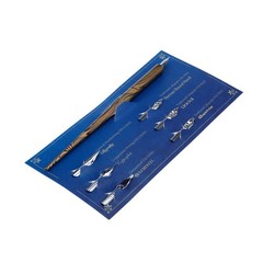 Wooden Dip Pen Drawing Dip Pen Set for Calligraphy Wrinting Painting, with 7 …